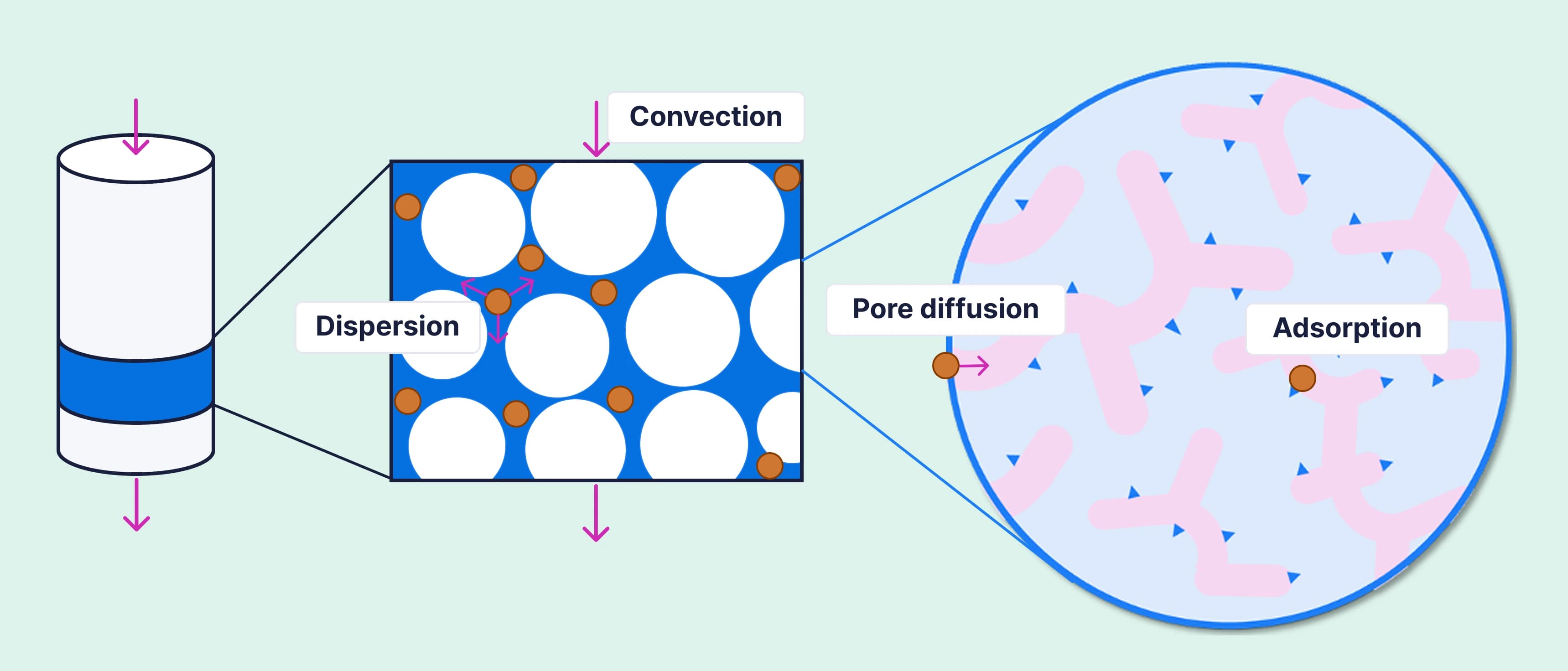chromatography-mechanisms
